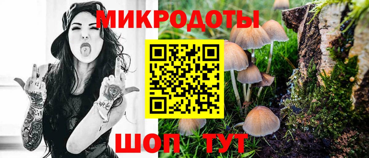 Псилоцибиновые грибы прущие грибы Чебоксары