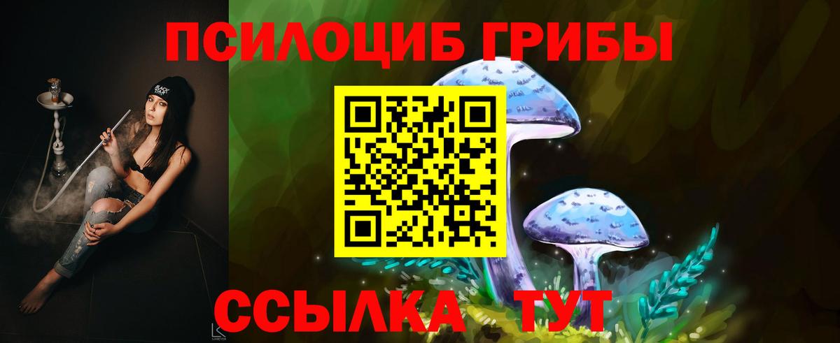 Чебоксары  Галлюциногенные грибы GOLDEN TEACHER  закладка  Вход с VPN 